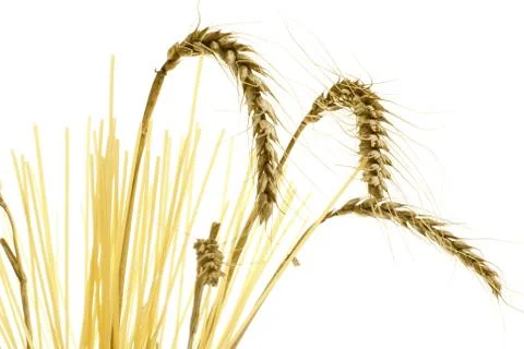 Ear of corn, spaghetti, isolated on white Stock Photos