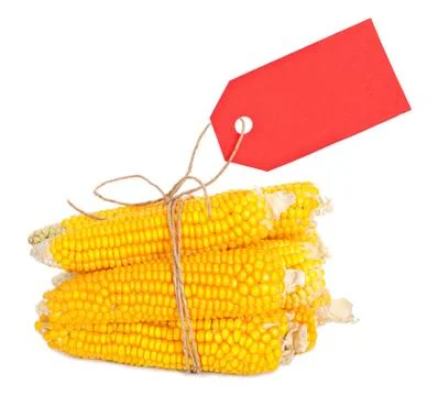 An ear of corn with a tag Stock Photos
