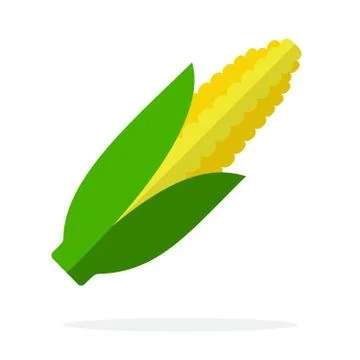Ear of corn vector flat material design isolated object on white background. Stock Illustration