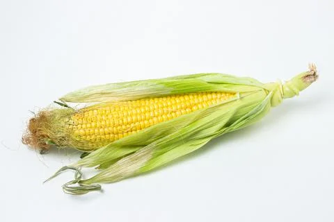 Ear of corn on a white background. Fresh corn on the cob. Stock Photos