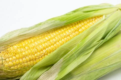 Ear of corn on a white background. Fresh corn on the cob. Stock Photos