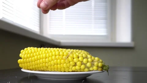 An ear of corn on a white plate. Stock Footage 320574086