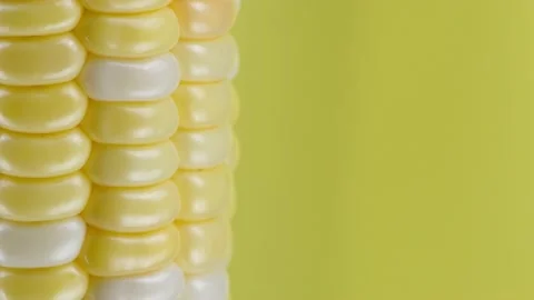 Ear of corn on a yellow background, extreme macro shooting. Stock Footage 162948337
