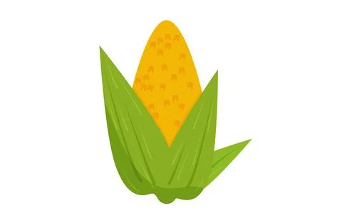 Ear of fresh yellow corn isolated on white background. Organic food. Stock Illustration