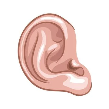 Ear illustration Illustrazione stock