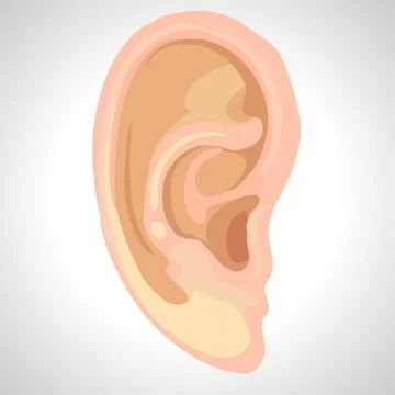 Ear isolated illustration Stock Illustration