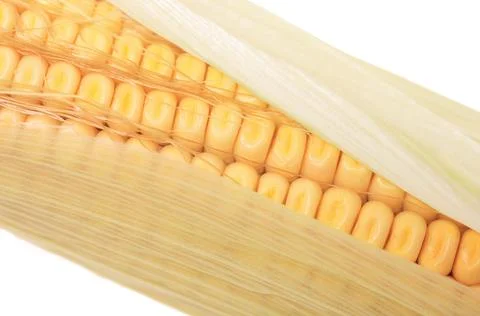 Ear of maize Stock Photos