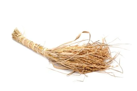 Ear of paddy Stock Photos