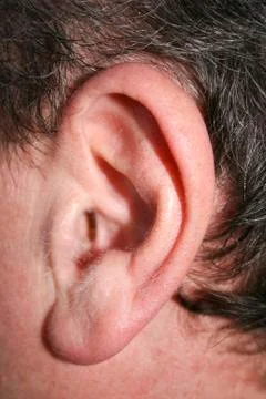 Ear Stock Photos