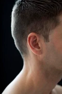 Ear Stock Photos