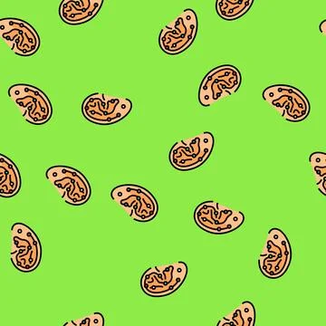 Ear points acupuncture vector seamless pattern Illustrazione stock