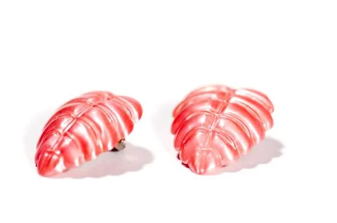 Ear-ring Stock-Fotos