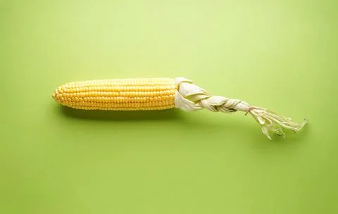Ear of ripe corn on a green background, top view. Stock Photos