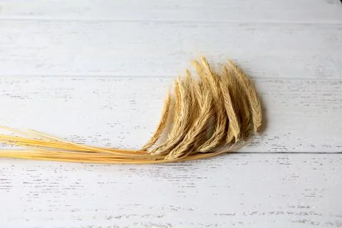 Ear of rye Stock Photos