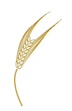 Ear of rye,wheat,barley Ilustração Stock