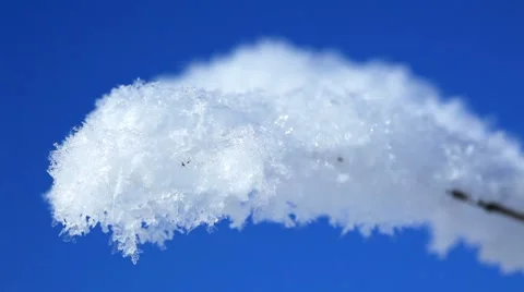 Ear in to snow Stock Footage 8510829