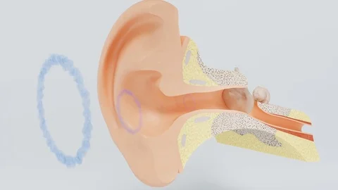 Ear sound Stock Footage