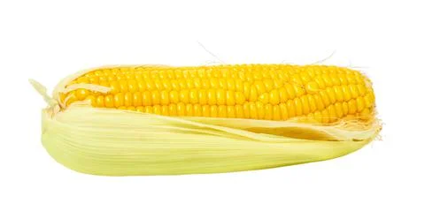 Ear of sweet corn isolated Stock Photos