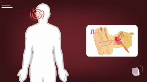 Ear - vector animation - analysis - red Stock Footage 60398254