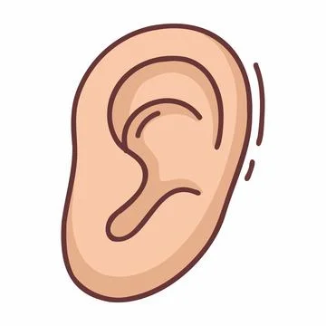 Ear vector art illustration イラスト素材