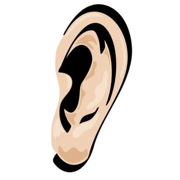 Ear Vector Cartoon shaded Stock Illustration