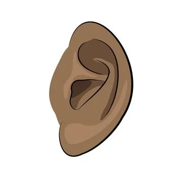 Ear vector clip art Illustrazione stock