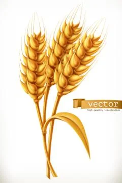 Ear of wheat. 3d vector icon Stock Illustration