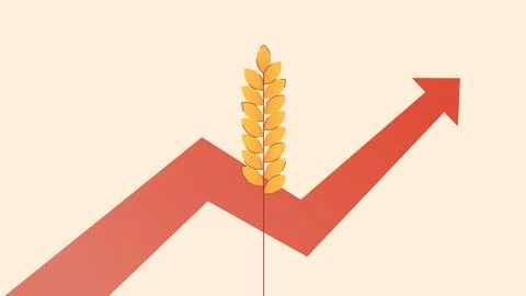 An ear of wheat and a zigzag arrow pointing upwards. Stock Illustration
