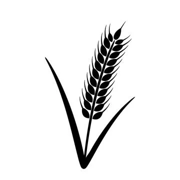 Ear of Wheat, Barley or Rye. Vector graphic icon, ideal for bread packaging Stock Illustration
