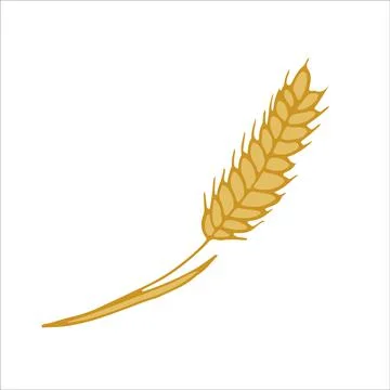 Ear of wheat. Icon, sticker, design element. Yellow color. Vector Illustratio Stock Illustration