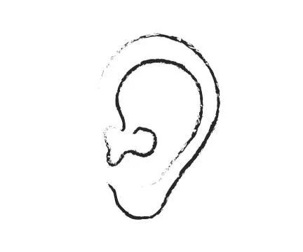 Ear on a white background. Sketch. Illustrazione stock