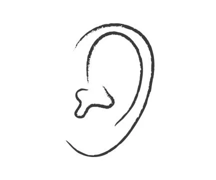 Ear on a white background. Sketch. Stock Illustration