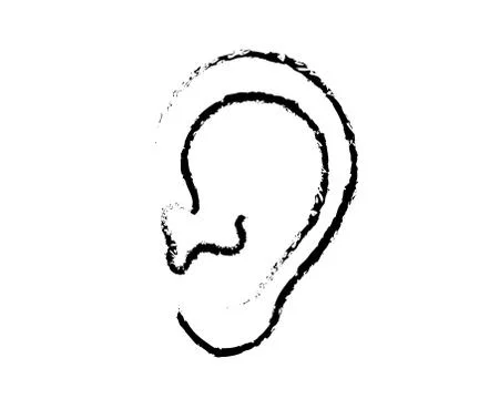 Ear on a white background. Sketch. Vector Stock Illustration