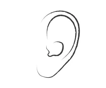 Ear on a white background. Sketch. Vector Stock Illustration