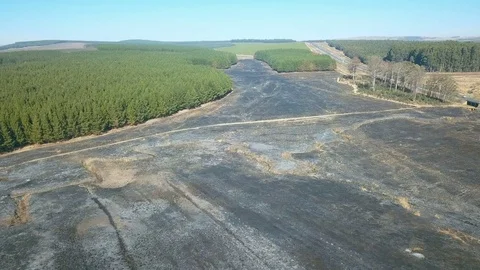 Earial view of burned out forest area showing signs of gulley erosion against Stock Footage 81202040
