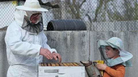 Earlier development of children, little boy with grandfather beekeeper fumigates Stock Footage 130559994