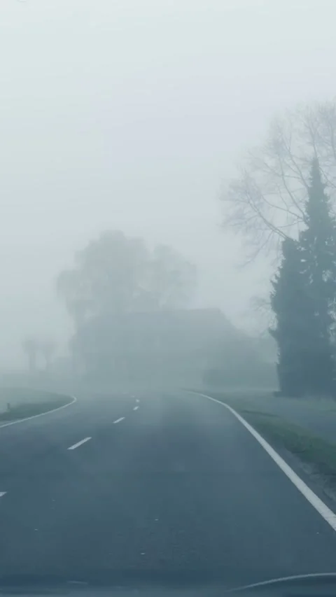 Early April fog Stock Footage 337165176