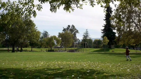 Early autumn. Stock Footage 536006