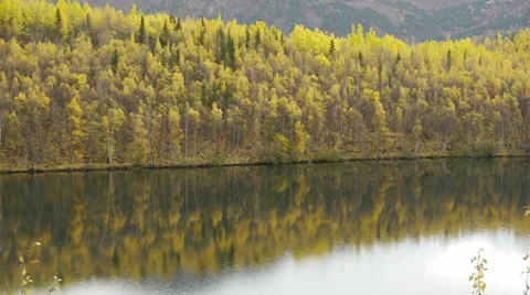 Early Autumn Forest Reflected in Calm Lake Stock Footage 38095163