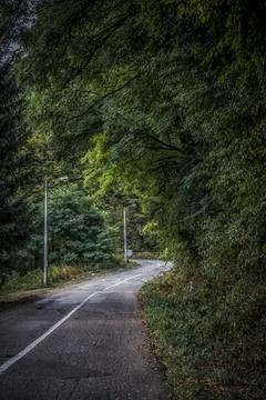 Early Autumn in Kosjeric Stock Photos