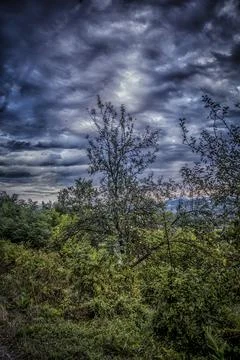 Early Autumn in Kosjeric Stock Photos