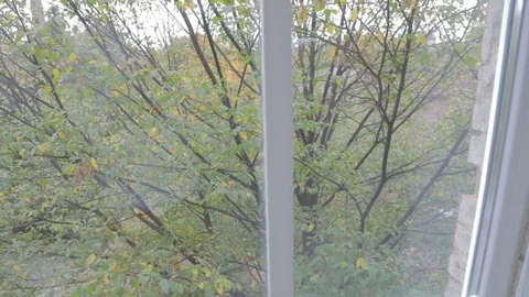Early autumn outside the window Stock Footage 72383757