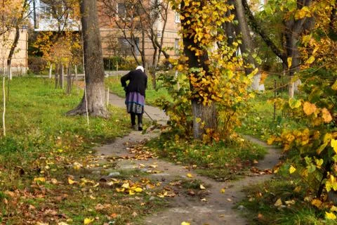 Early autumn Stock Photos