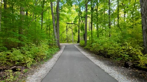 Early autumn time trees by the path in Mayberry state park Novi, Michigan. Video stock 289267822