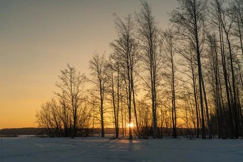 Early dawn in winter, sun between the trees Foto stock