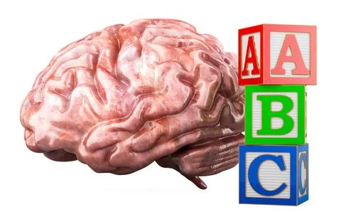 Early Development concept. Brain with ABC Wooden Blocks Alphabet Letters Le.. Stock Illustration