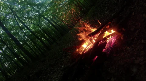 Early evening and evening fire in the mountain forest Stock Footage 38055678