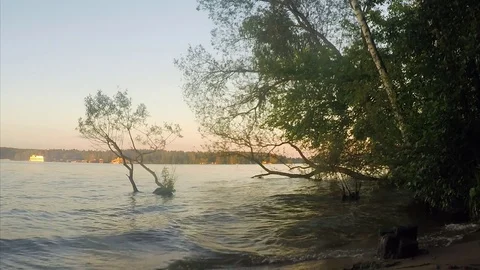 Early evening at the lake in the forest Stockbeeldmateriaal 82370696