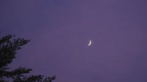 Early Evening Moon in First phase on Pink and Violet Cloudy Sky Video stock 148092245
