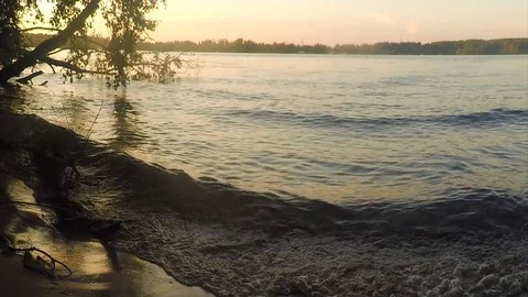 Early evening at the pond in forest Stock Footage 82367223